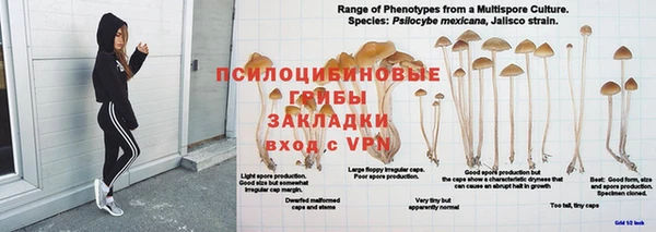 2c-b Верхний Тагил