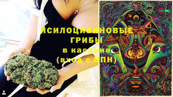 гашик Верхнеуральск
