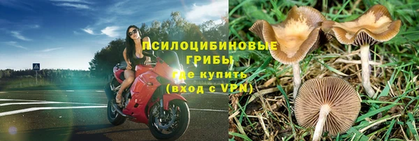 jwh Верея