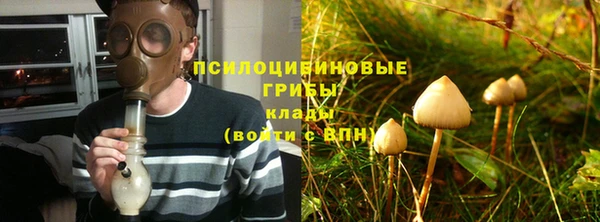 гашик Верхнеуральск