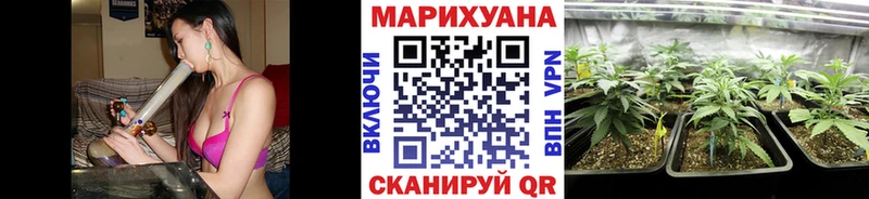 Шишки марихуана марихуана магазин продажи Владикавказ